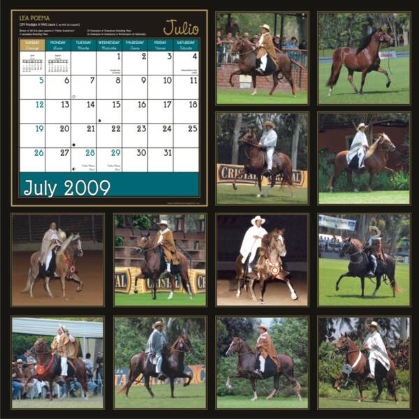 Contra Portada - Calendario de Yeguas 2009
