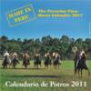 Cover of Calendar Stallions 2011
