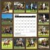 Back Cover of Stallions Calendar 2011