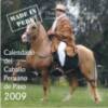 THE STALLIONS CALENDAR 2009